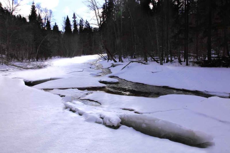 2354 latvia amata river gauja national park.jpg